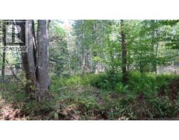 Kitchen - 1371 Route 16 Route, Jolicure, NB E4L2P9 Photo 4