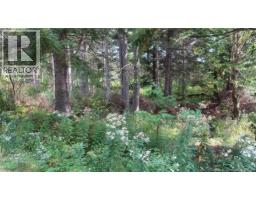 1371 Route 16 Route, Jolicure, NB E4L2P9 Photo 5