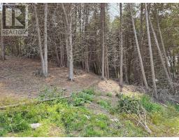 0000 Cedarstone Road, Stone Mills, ON K0K3G0 Photo 5