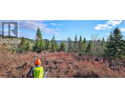 Grant 21937 Soles Stillwater, East Chezzetcook, NS B0J2L0 Photo 5