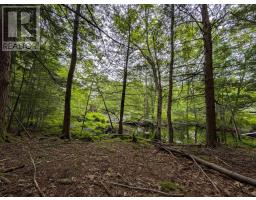 67 Station Road, Kinsac, NS B4G1C8 Photo 3