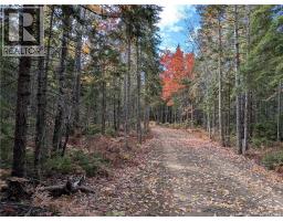 00 Highway 11, Redmondville, NB E1N5C5 Photo 2