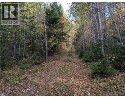 00 Highway 11, Redmondville, NB E1N5C5 Photo 4