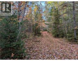 00 Highway 11, Redmondville, NB E1N5C5 Photo 3