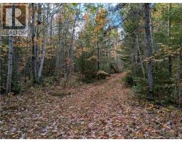 00 Highway 11, Redmondville, NB E1N5C5 Photo 5