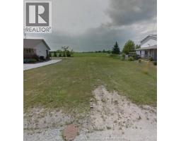 6199 Emerson Avenue, Comber, ON N0P1J0 Photo 3
