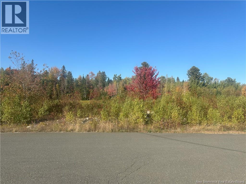 Lot 10 04 Crain Court