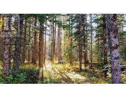 Lot 40 Beaver Lane, Grantville, NS B0E1J0 Photo 2