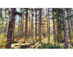 Lot 40 Beaver Lane, Grantville, NS B0E1J0 Photo 3