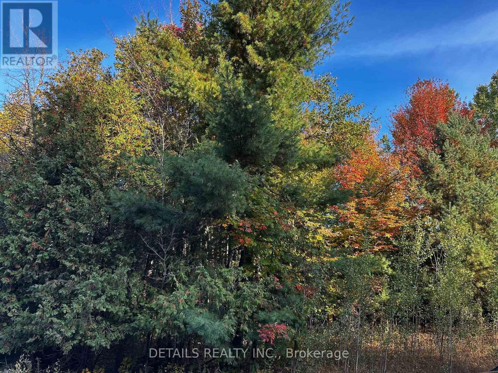 515 Vances Side Road N