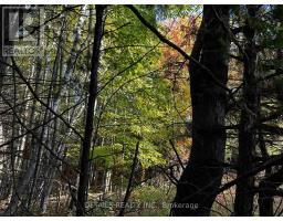 515 Vances Side Road N, Image 2