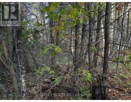 515 Vances Side Road N, Image 3