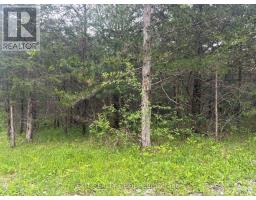 262 Johnston Road, Centre Hastings, ON K0K3H0 Photo 3