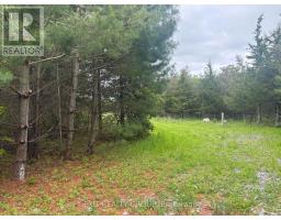 262 Johnston Road, Centre Hastings, ON K0K3H0 Photo 4