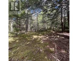 Lot 25 2 Conquerall Mills Road, Conquerall Mills, NS B4V7A3 Photo 4