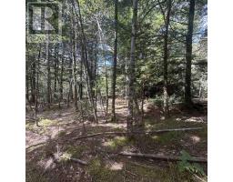 Lot 25 2 Conquerall Mills Road, Conquerall Mills, NS B4V7A3 Photo 5