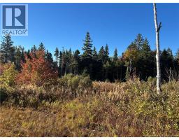 91 Midland Road, Mechanic Settlement, NB E4E4K4 Photo 2