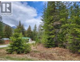 Lots 8 10 Hume Street, Slocan, BC V0G2C0 Photo 4