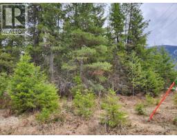 Lots 8 10 Hume Street, Slocan, BC V0G2C0 Photo 5