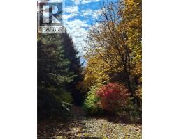 3pc Bathroom - 1966 Concession 2 Concession W, Lynden, ON L0R1T0 Photo 5