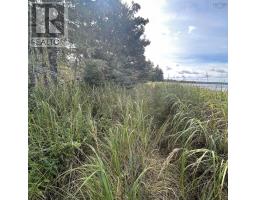 Lot 6 F A Middle Road, Kingsburg, NS B0J2X0 Photo 4