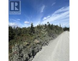 Lot 6 F A Middle Road, Kingsburg, NS B0J2X0 Photo 5