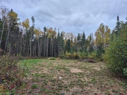 14 St Andrews View, Alexander, MB R0A0A0 Photo 2