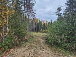 14 St Andrews View, Alexander, MB R0A0A0 Photo 3