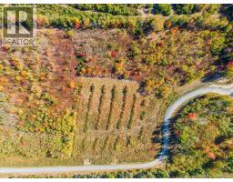 Lot 2023 3 Route 425, Strathadam, NB E1V4H1 Photo 5