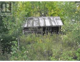 73 Smith Street, Nairn Centre, ON P0M2L0 Photo 4