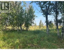 Weaver, Barrier Valley Rm No 397, SK S0E0B0 Photo 3