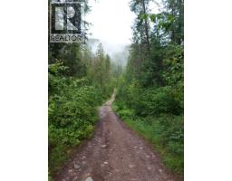 Parcel B Renata Forestry Road, Renata, BC V1N4V8 Photo 3