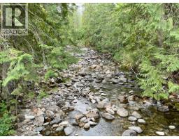 Parcel B Renata Forestry Road, Renata, BC V1N4V8 Photo 4