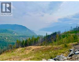 Parcel B Renata Forestry Road, Renata, BC V1N4V8 Photo 5