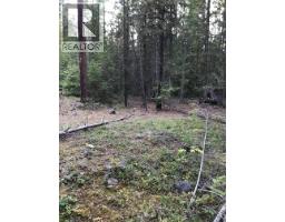 Parcel B Renata Forestry Road, Renata, BC V1N4V8 Photo 2