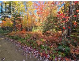 28 Acres Rue Des Fondateurs, Petitpaquetville, NB E8R1B3 Photo 2