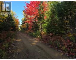 28 Acres Rue Des Fondateurs, Petitpaquetville, NB E8R1B3 Photo 3