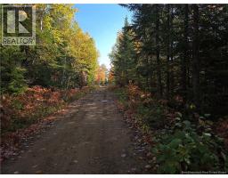 28 Acres Rue Des Fondateurs, Petitpaquetville, NB E8R1B3 Photo 4
