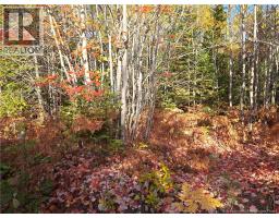 28 Acres Rue Des Fondateurs, Petitpaquetville, NB E8R1B3 Photo 5