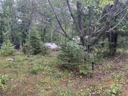 24 Heideland Drive, Gimli Rm, MB R0C0C0 Photo 2