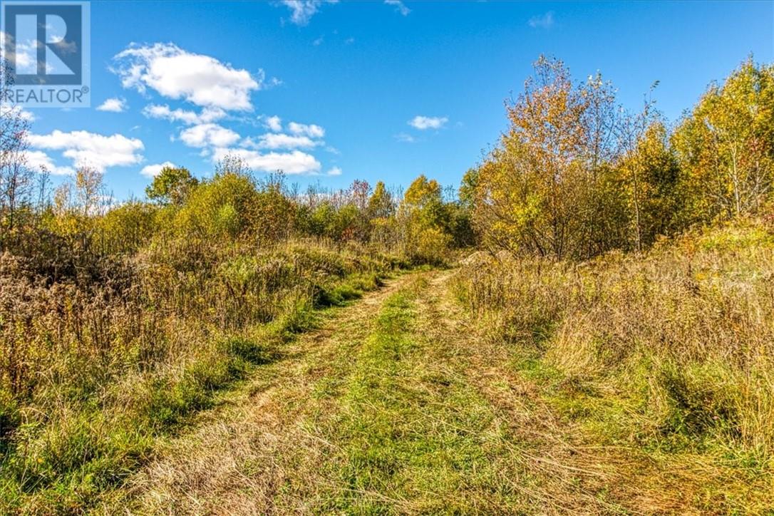 Lot 1 Leonard Avenue S