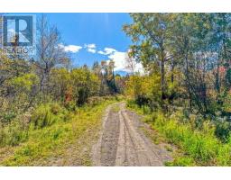 Lot 1 Leonard Avenue S, Dowling, ON P0M1R0 Photo 2