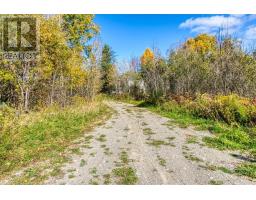 Lot 1 Leonard Avenue S, Dowling, ON P0M1R0 Photo 3