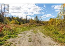 Lot 1 Leonard Avenue S, Dowling, ON P0M1R0 Photo 5