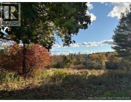 0 Elm Park, St Stephen, NB E3L2W7 Photo 2