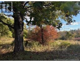 0 Elm Park, St Stephen, NB E3L2W7 Photo 3