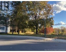 0 Elm Park, St Stephen, NB E3L2W7 Photo 4