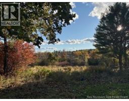 0 Elm Park, St Stephen, NB E3L2W7 Photo 5