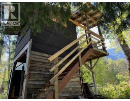 00 Slocan Valley West Road, Slocan Park, BC V0G2E0 Photo 4