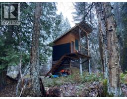 00 Slocan Valley West Road, Slocan Park, BC V0G2E0 Photo 2